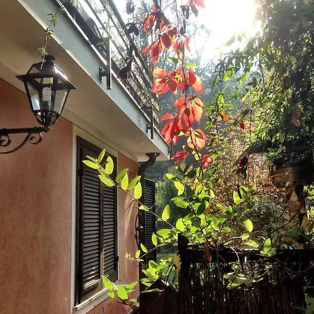 Nel Bosco In Citta Turin