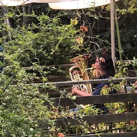 Nel Bosco In Citta Turin