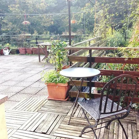 Nel Bosco In Citta Turín