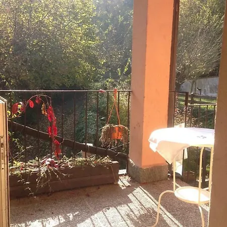 Vila Nel Bosco In Citta